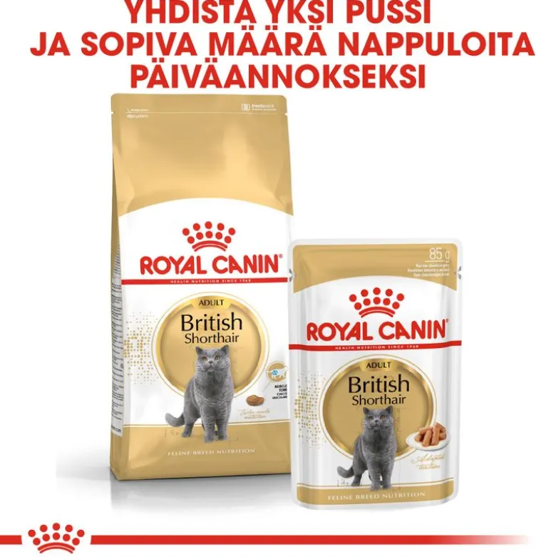 Royal Canin British Shorthair Adult