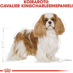 Royal Canin Cavalier King Charles Adult