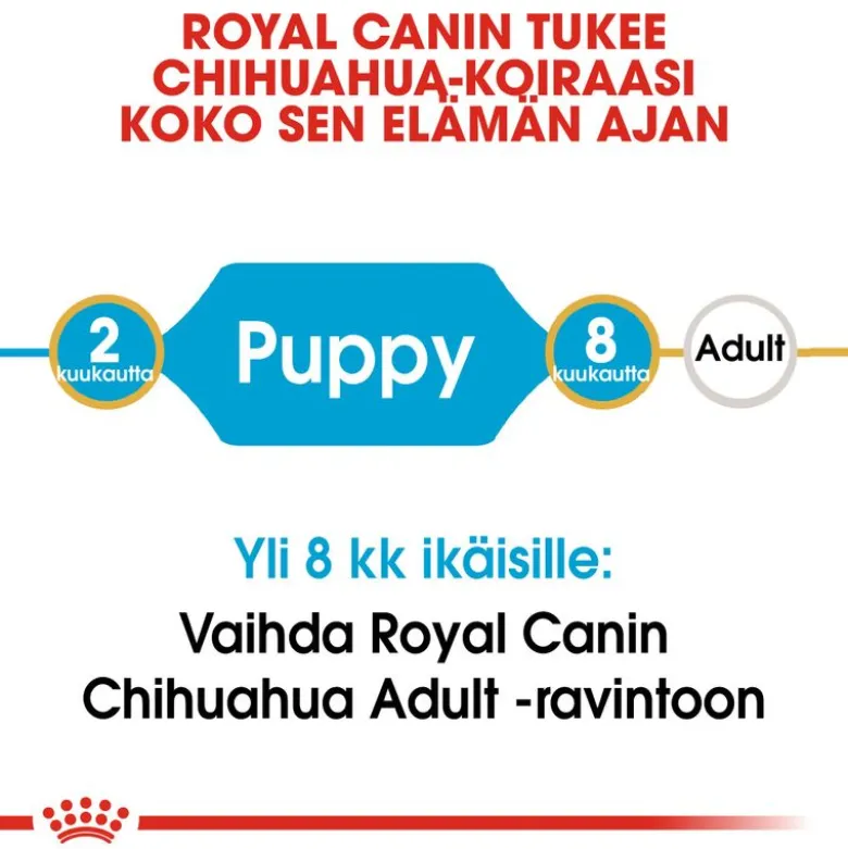 Royal Canin Chihuahua Puppy