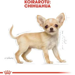 Royal Canin Chihuahua Puppy
