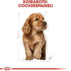 Royal Canin Cocker Puppy