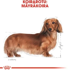 Royal Canin Dachshund Mousse