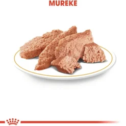 Royal Canin Dachshund Mousse