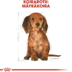 Royal Canin Dachshund Puppy