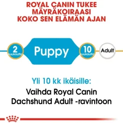 Royal Canin Dachshund Puppy