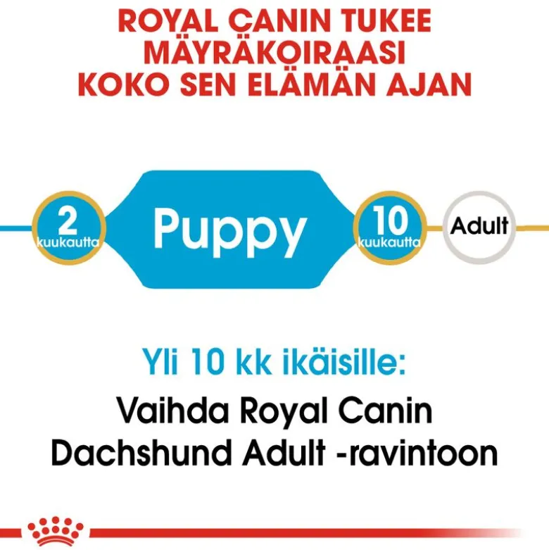 Royal Canin Dachshund Puppy