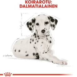 Royal Canin Dalmatian Puppy