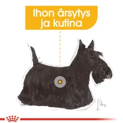 Royal Canin Dermacomfort Mousse