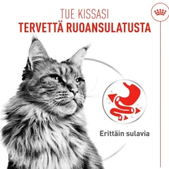 Royal Canin Digestive Care AirLift Mousse