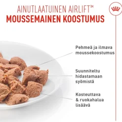 Royal Canin Digestive Care AirLift Mousse