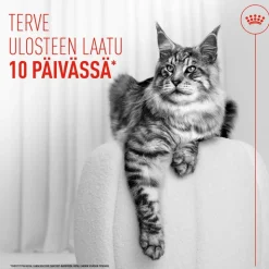 Royal Canin Digestive Care AirLift Mousse