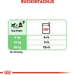 Royal Canin Digestive Care Mousse