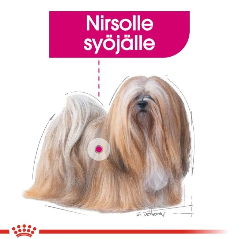 Royal Canin Exigent Care Mousse