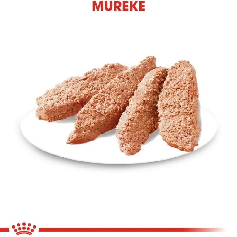 Royal Canin Exigent Care Mousse