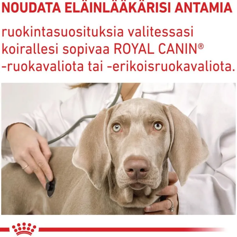 Royal Canin Expert Canine Adult Small Dog