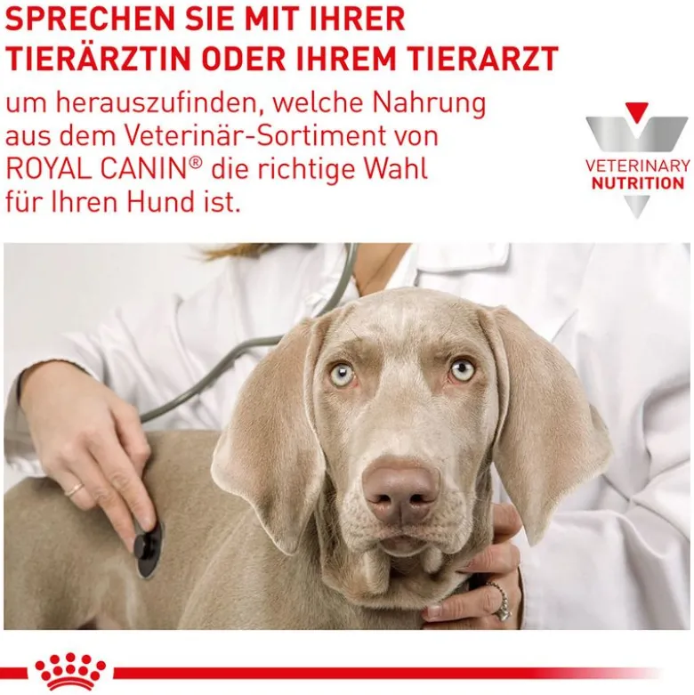 Royal Canin Expert Canine Neutered Adult Large Dog