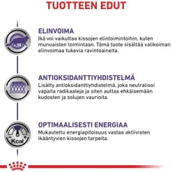 Royal Canin Expert Feline Mature Consult