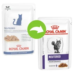 Royal Canin Expert Feline Neutered Maintenance kastikkeessa