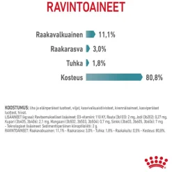 Royal Canin FCN Hairball Care hyytelössä