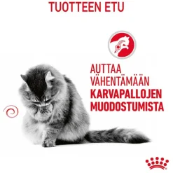 Royal Canin FCN Hairball Care hyytelössä