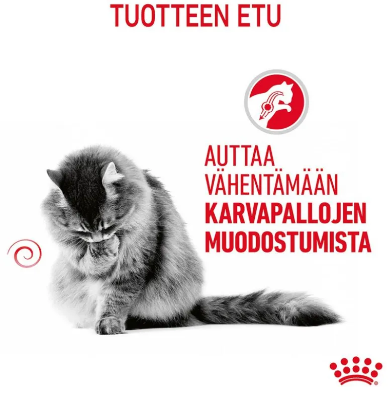 Royal Canin FCN Hairball Care hyytelössä