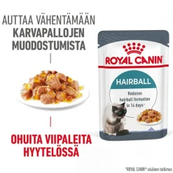 Royal Canin FCN Hairball Care hyytelössä