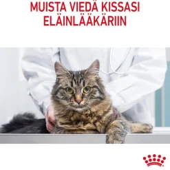 Royal Canin FCN Hairball Care hyytelössä
