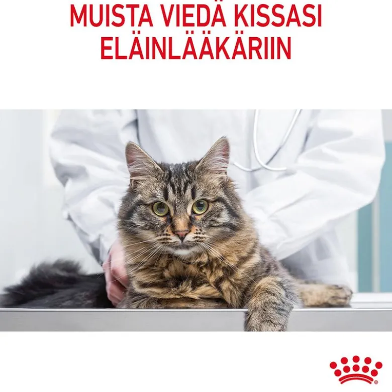 Royal Canin FCN Hairball Care hyytelössä