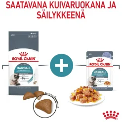 Royal Canin FCN Hairball Care hyytelössä
