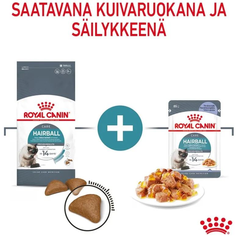 Royal Canin FCN Hairball Care hyytelössä