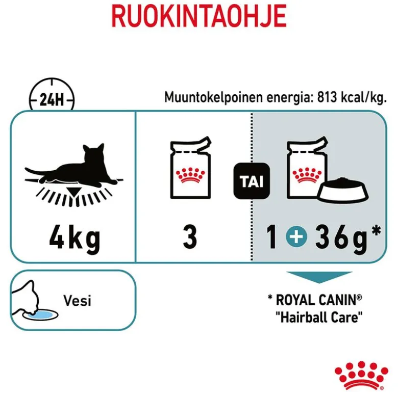 Royal Canin FCN Hairball Care hyytelössä