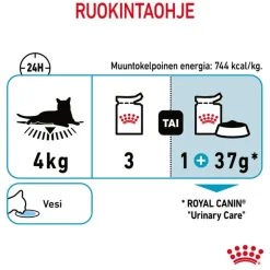 Royal Canin FCN Urinary Care hyytelössä