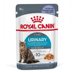 Royal Canin FCN Urinary Care hyytelössä