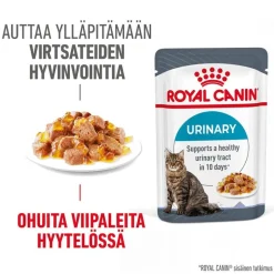 Royal Canin FCN Urinary Care hyytelössä