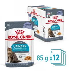 Royal Canin FCN Urinary Care hyytelössä