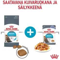 Royal Canin FCN Urinary Care hyytelössä