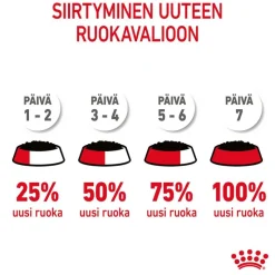 Royal Canin FCN Urinary Care hyytelössä