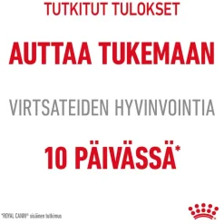 Royal Canin FCN Urinary Care hyytelössä