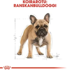 Royal Canin French Bulldog Adult