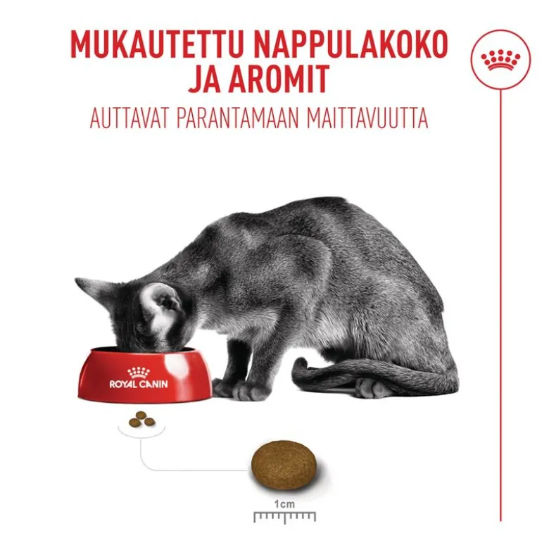 Royal Canin Fussy Exigent
