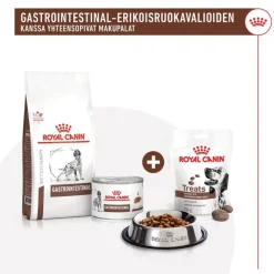 Royal Canin Gastrointestinal Snacks