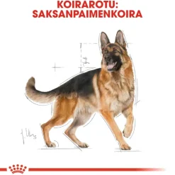 Royal Canin German Shepherd Adult