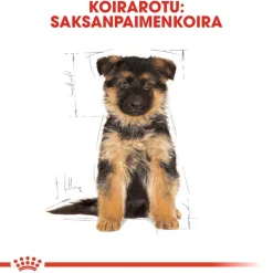 Royal Canin German Shepherd Puppy