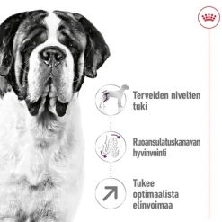 Royal Canin Giant Adult