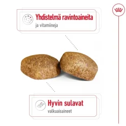 Royal Canin Giant Adult