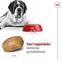 Royal Canin Giant Adult