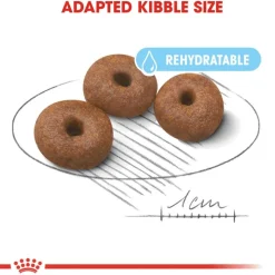 Royal Canin Giant Starter Mother & Babydog