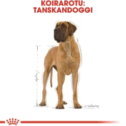 Royal Canin Great Dane Adult
