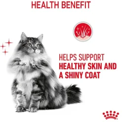 Royal Canin Hair & Skin Care in Jelly
