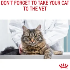 Royal Canin Hair & Skin Care in Jelly